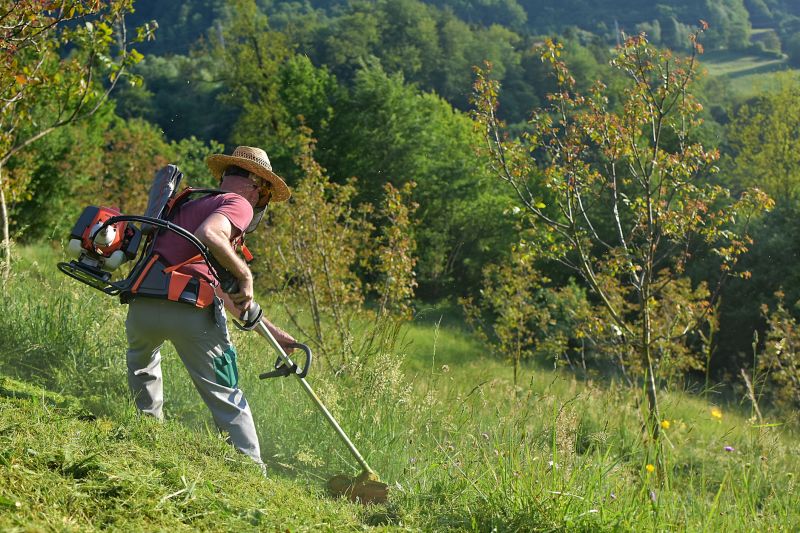 Grass Cutting