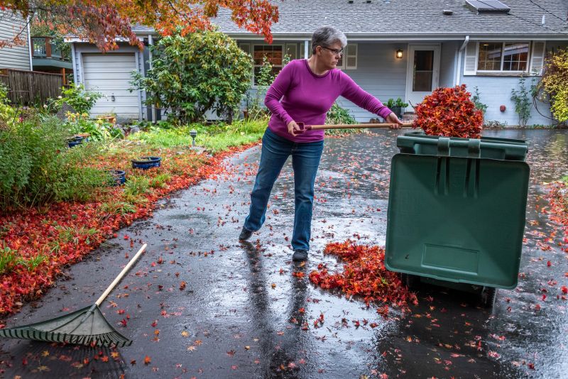 Clean Lawn in Autumn