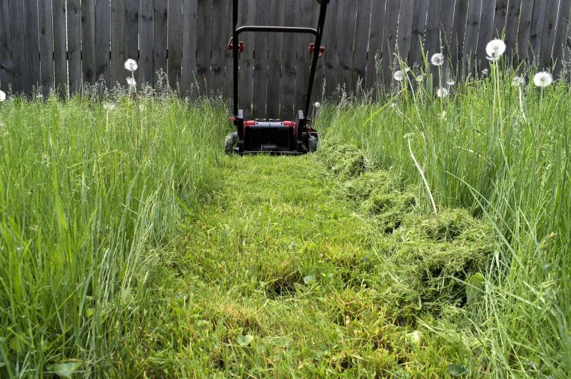 Products For Grass Cuttings in use